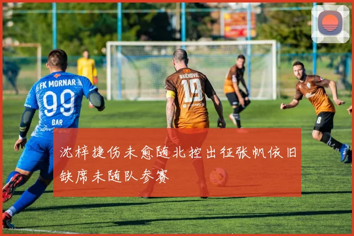 沈梓捷伤未愈随北控出征张帆依旧缺席未随队参赛