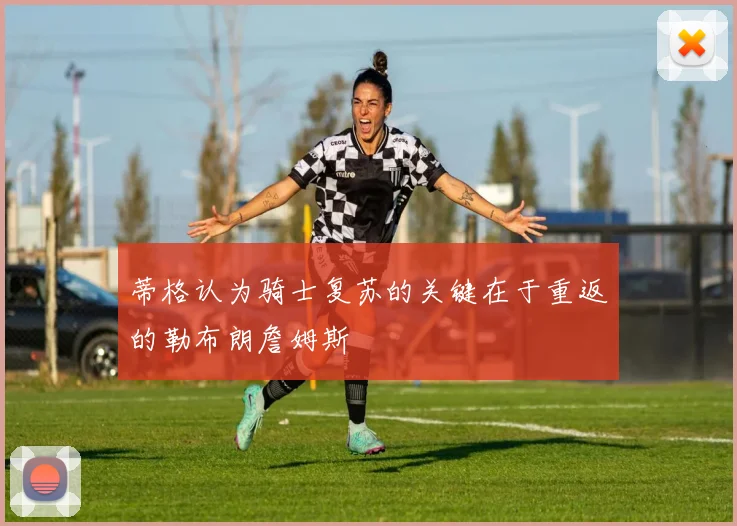 蒂格认为骑士复苏的关键在于重返的勒布朗詹姆斯