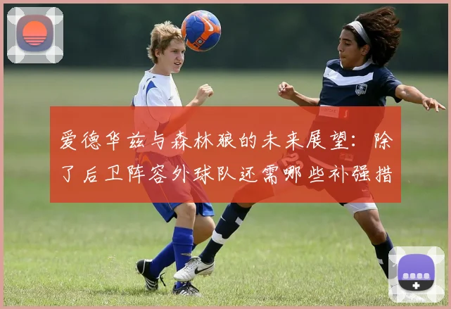 爱德华兹与森林狼的未来展望：除了后卫阵容外球队还需哪些补强措施